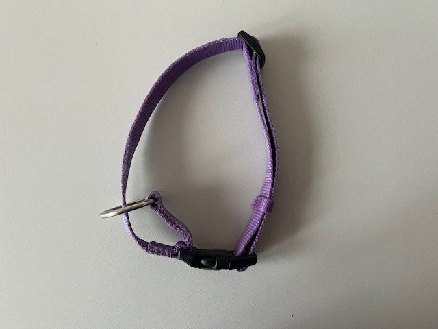 Guinzagli & Collari: Hundehalsband gebraucht aus Nylon – Usato da Winterthur venduto da la_panna 2