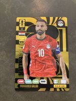 Panini Adrenalyn
