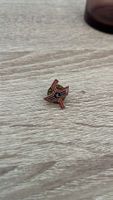 Ehc Kloten Pin 