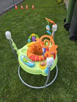 Fisher-Price Babybouncer grün orange guter Zustand