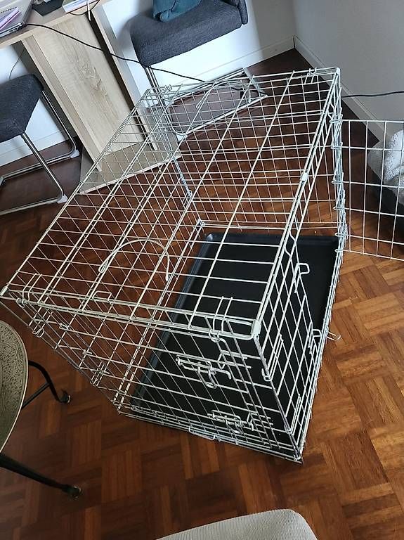 Käfige, Transport & Sicherheit: Hundebox/Gitter – Gebraucht aus Oberglatt ZH von summerbreeze12 1