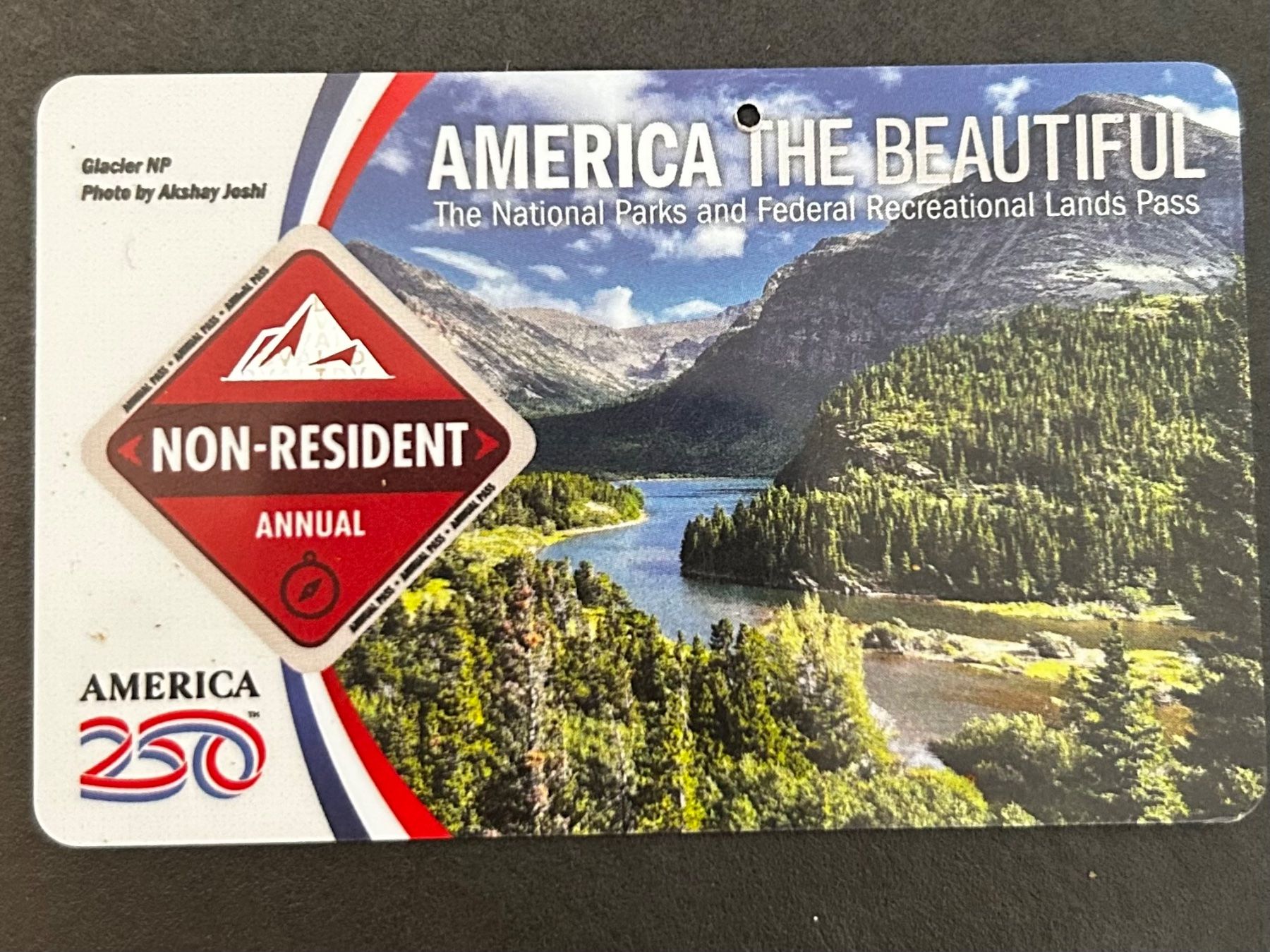 Tickets: America the beautiful  Jahrespass – Gebraucht aus Mels von famskoe