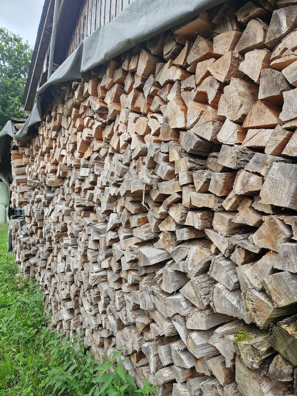 Holzartikel: Brennholz – Neu und originalverpackt aus Niederbüren von Roller72 2