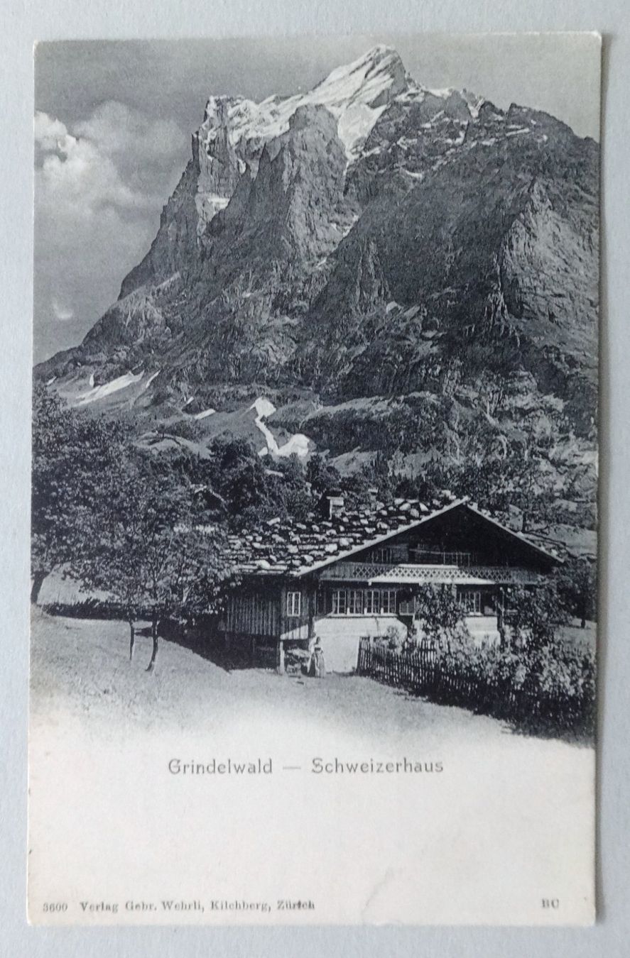 Cartoline postali: Grindelwald - Schweizerhaus – Usato da Fétigny venduto da Billy2miny