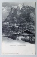 Grindelwald - Schweizerhaus