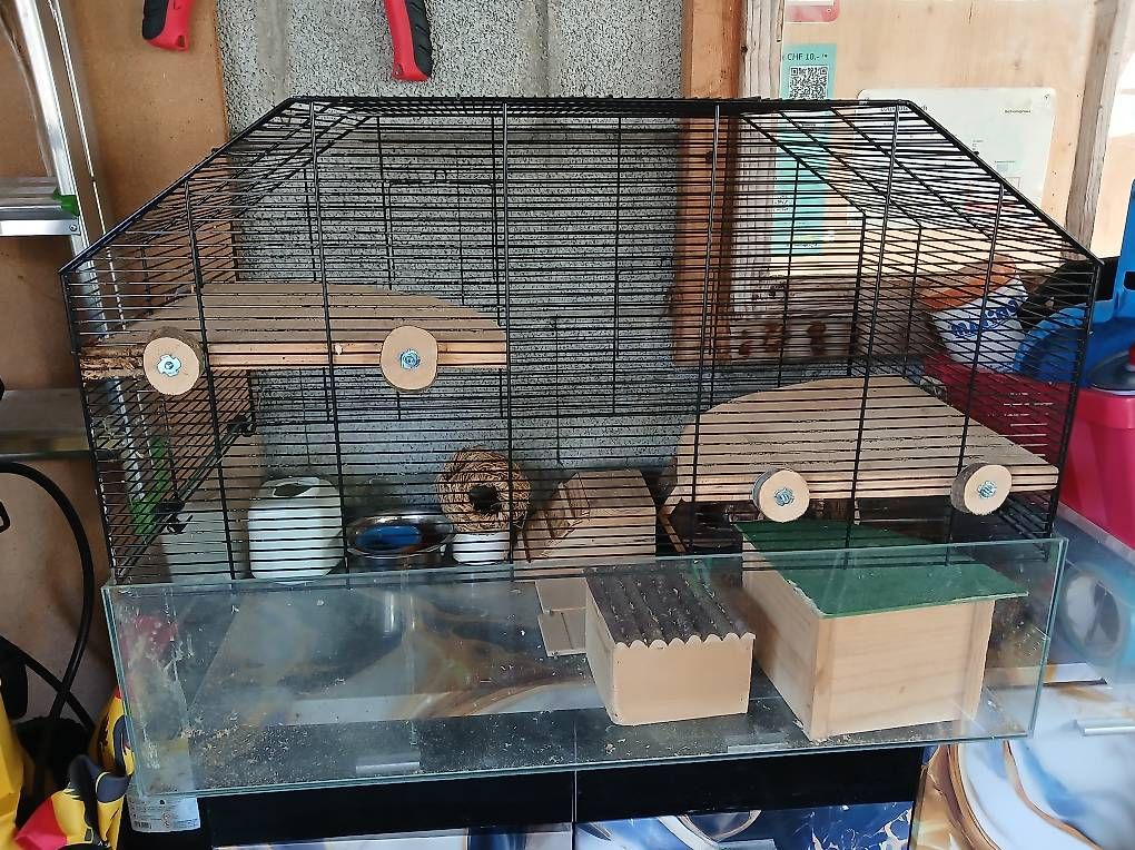 Gabbie, trasporto & Sicurezza: Hamsterkäfig – Usato da Süderen venduto da Luethi1990 1