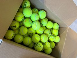 Gebrauchte Padel-Bälle gratis abzugeben