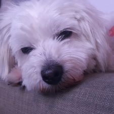 Profile image of Malia111