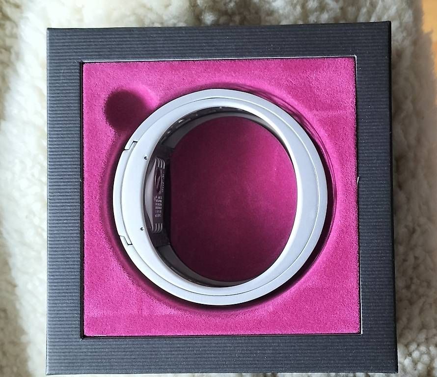 Orologi: Swatch Irony Lady – Usato da Steinach venduto da Tsgweh 3