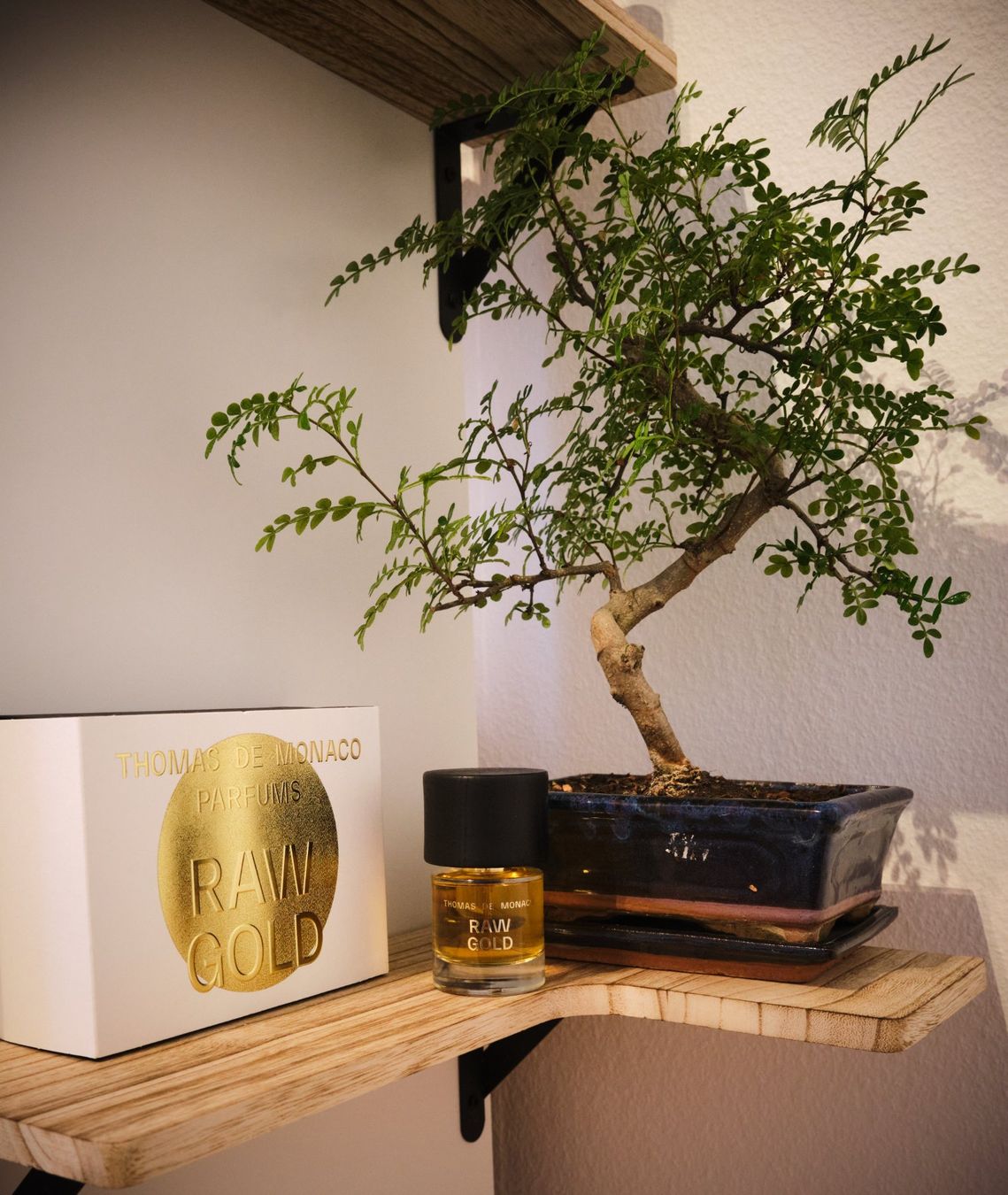 Parfum & Eau de Toilette: Raw Gold, Thomas de Monaco (DECANT) – Gebraucht aus Neuchâtel von switzer_scent 1
