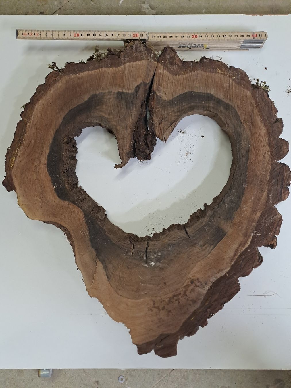 Articoli in legno: holz herz in nussbaum scheibe – Nuovo (secondo la descrizione) da Illnau venduto da adi711