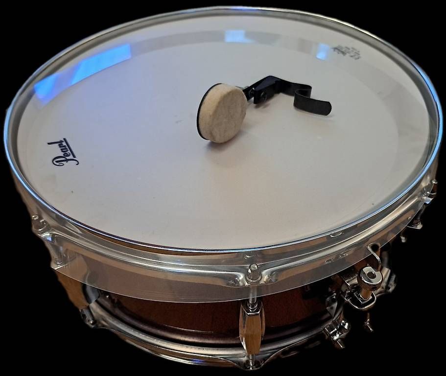 Strumenti musicali: Snare Pearl Export Holz 14"x5.5" – Usato da Schlieren venduto da Rcaliforni