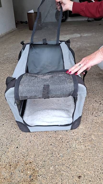 Gabbie, trasporto & Sicurezza: Hundetasche Transportbox – Usato da Ebikon venduto da Magicsilver 1