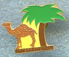 CAMEL  INTERNATIONAL