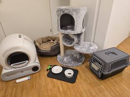 Im Auftrag von einem Freund eine Katzenklo bis Katzenbaum