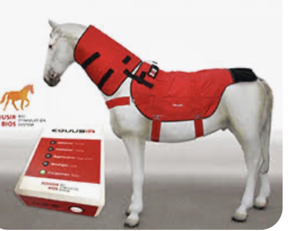 Coperte: Equusir BIOS - Magnetfelddecke – Usato da St. Margrethen SG venduto da kan_vqd8