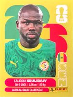 Carte FIFA World Cup 2026 SEN 8