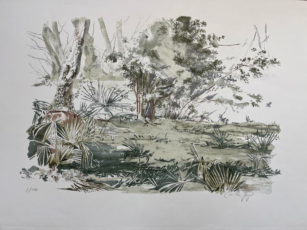 Grafica & Litografie: Camille Hagner    LITHOGRAPHIE SIGNIERT NUMMERIERT – Usato da Gersau venduto da kunst-online