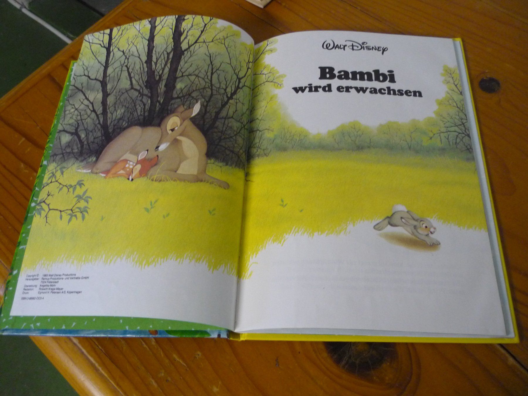 Libri: Kinderbuch - Walt Disney - Bambi wird erwachsen 1983 – Usato da Beringen venduto da Flatretriever 1