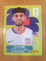 Panini WM 2026 USA RICARDO PEPI 18