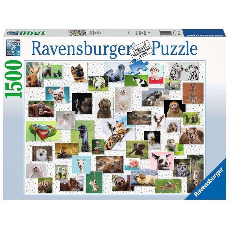 Ravensburger Puzzles: Ravensburger 1500 Teile Puzzle Funny Animals Collage – Neu und originalverpackt aus Oensingen von Liquidations-Shop