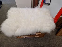 5 Lammfelle  60 X 90 isländisches Schafsfell