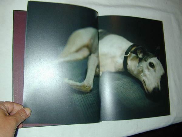Libri: Alisa Resnik One Another fotobuch – Usato da Welschenrohr venduto da Regool 1
