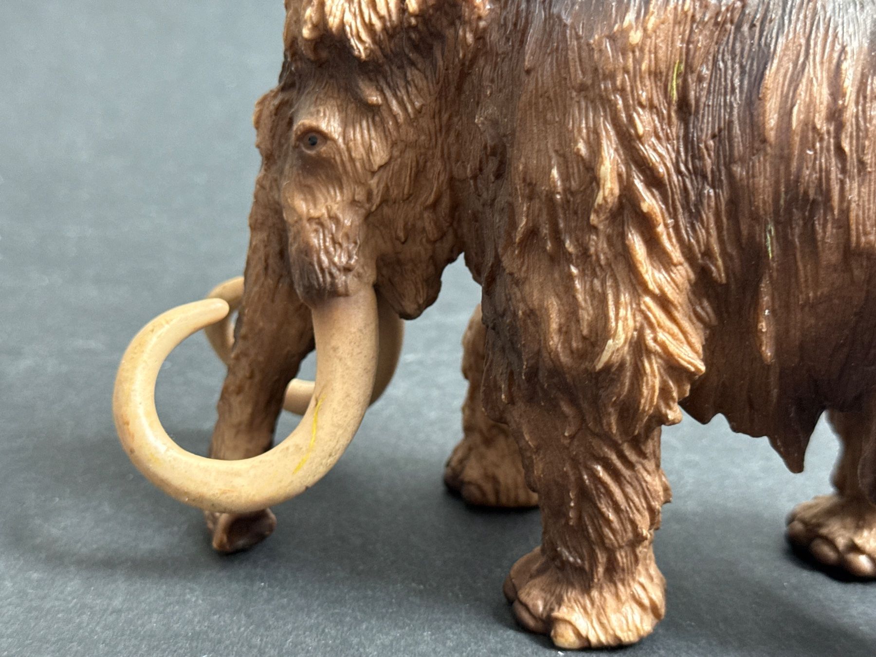 Schleich Statuette: Schleich 16517 Mammut – Usato da Ennetbaden venduto da mapa05 4