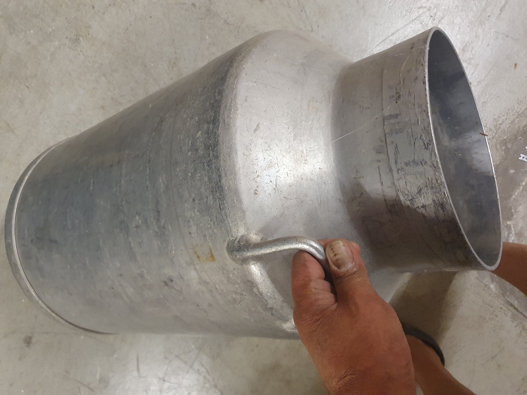 Agricoltura: Milchkanne Alu ca 50 l – Usato da Zürich venduto da loosebone 3