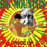 BIG MOUNTAIN (CD) FREE UP  NEUWERTIG!
