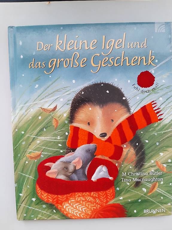 Bücher: Kinderbuch "Der kleine Igel und das grosse Geschenk", ab 3 J – Gebraucht aus Basel von Renato_hirzi