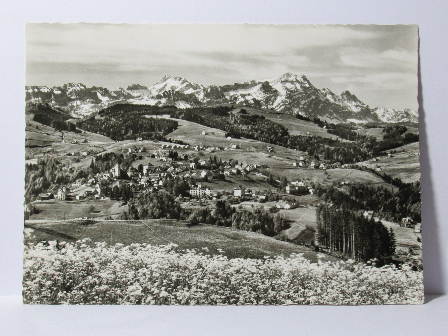 Ansichtskarten: Blick gegen Altmann und Säntis – Neu (gemäss Beschreibung) aus Grenchen von Bluemchen1900