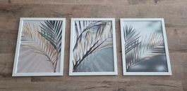 3x Bilder inkl. weisse Rahmen (30 x 40 cm) / Naturmotiv