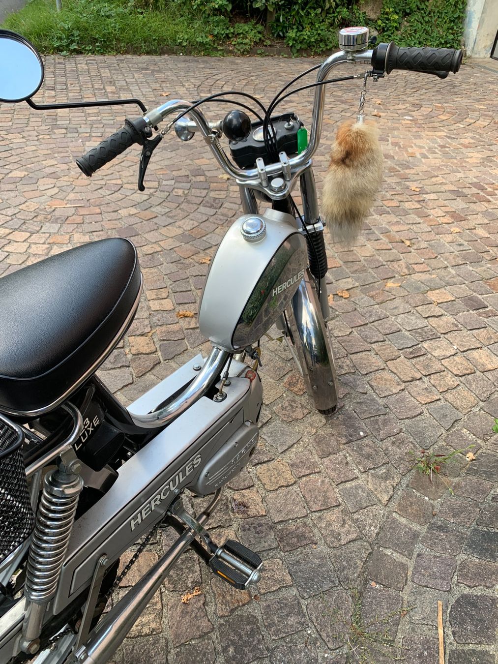Sachs Cyclomoteurs: Mofa – D'occasion à Cham par Jakobus1 3
