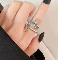 Einzigartiger Ring Grösse 54