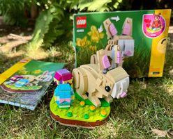 4x LEGO® Sets 40463+ (Friends 41366 + 41116 + 41120)