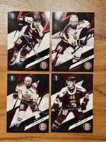SportZoo Playoffs x/30 Genf Servette 