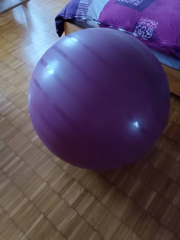 Palloni: Ballon de gym + support – Usato da Montagny-Yverdon venduto da magbox 2