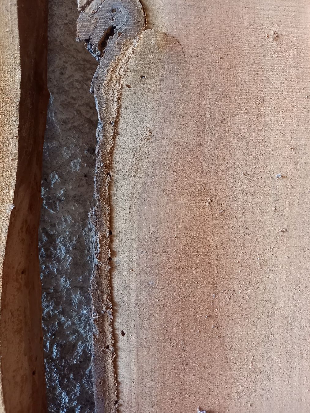Holzartikel: Kirschbaum Klotzbretter  – Neu (gemäss Beschreibung) aus Thierachern von Gari76 6