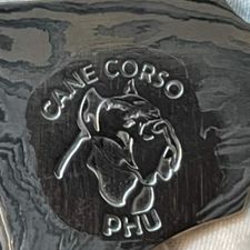 Profile image of Cane_Corso1