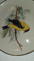 Sammelteller "Goldfinch" USA, Vogelmotiv, Goldrand