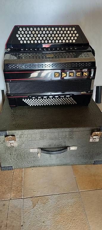 Strumenti musicali: Zupan Akkordeon Alpe V – Usato da Buochs venduto da von_mzm8 2