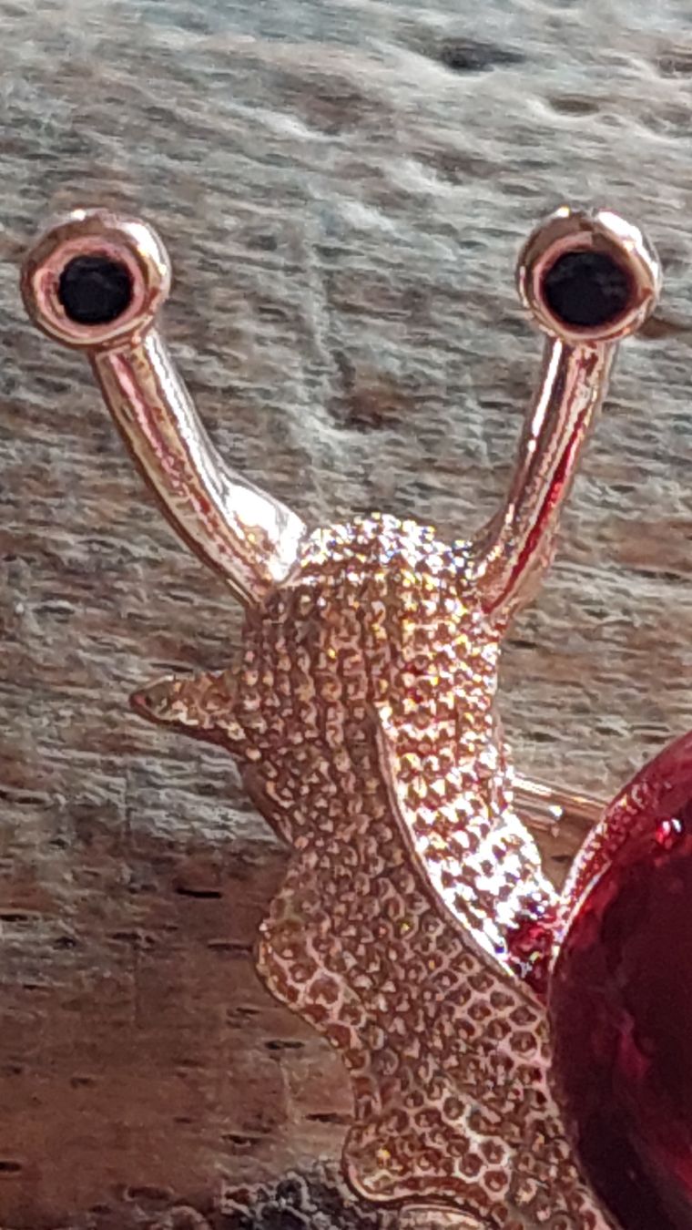 Spille & Fermagli: Tolle Brosche mit Schneck - rot mit Strass – Nuovo (secondo la descrizione) da Oberwil BL venduto da Kukkaniitty 4