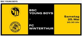 YB - FC Winterthur inkl Pokalübergabe 2 Tickets Haupttribüne