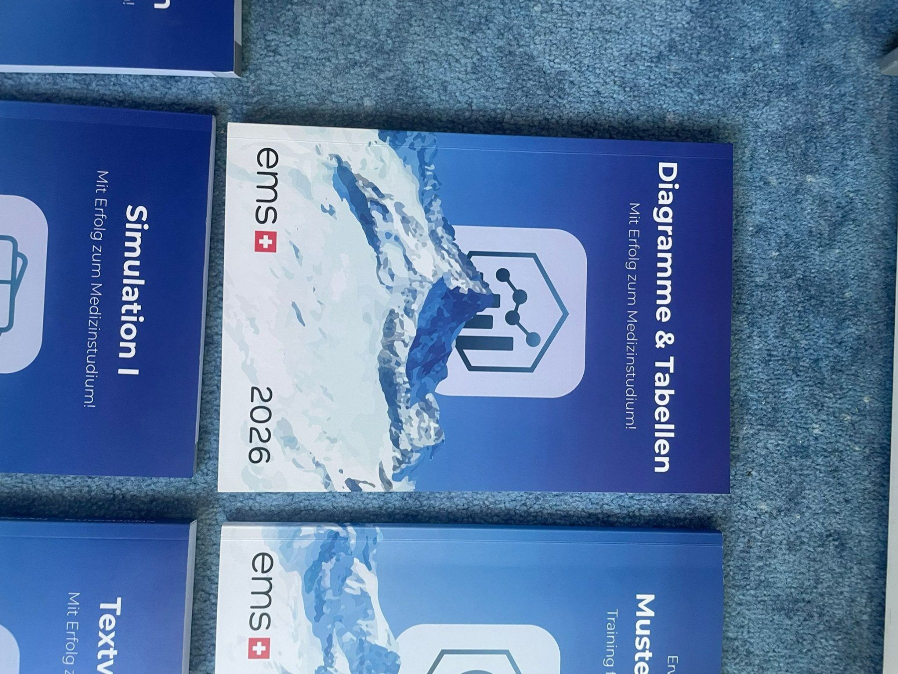 Libri: EMS 2026 Materialien – Usato da GOLDACH venduto da seller01 8