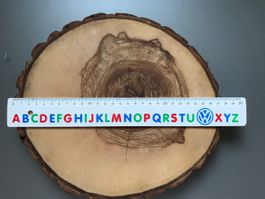 Holzscheiben