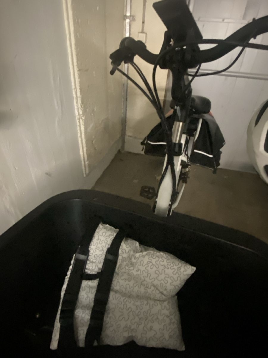 Biciclette: Dolly E-Lastfahrrad / e-cargobike – Usato da Reinach BL venduto da stutkir 7