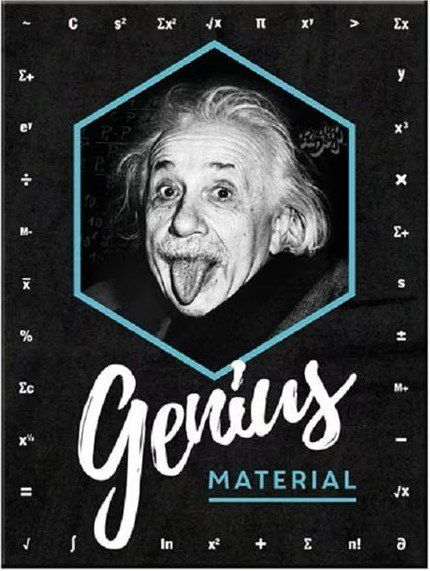 Magnets: 🧠 Nostalgisches Haftmagnet Einstein 💫 – Neuf avec emballage d'origine à Saland par Chi4 1