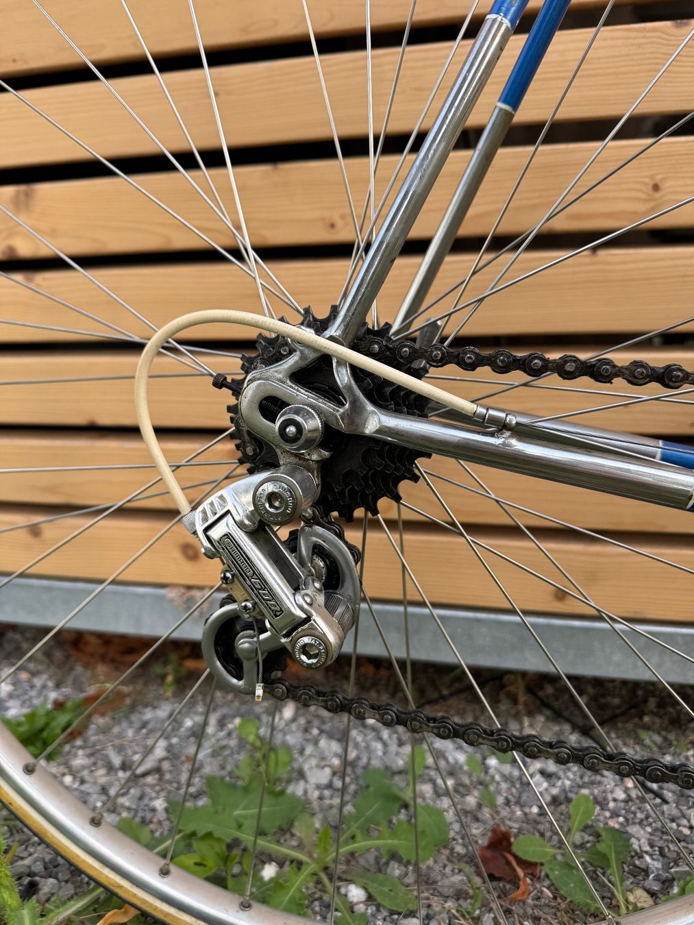 Velos: Rennrad Rüegger Zürich – Gebraucht aus Liebefeld von eliaemnl 6