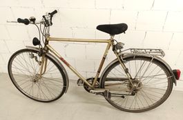 Velo Alpa-Herren, gold